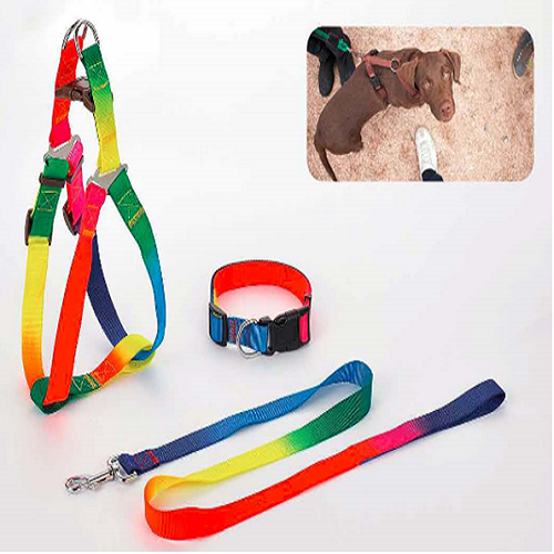 YDL 102 Colorful Nylon Leash,Harness&Collar