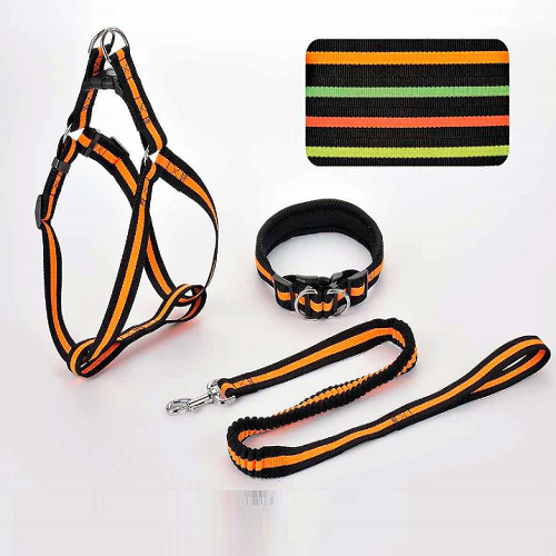 YDL 106 (PP bounce Leash,Harness& Collar)