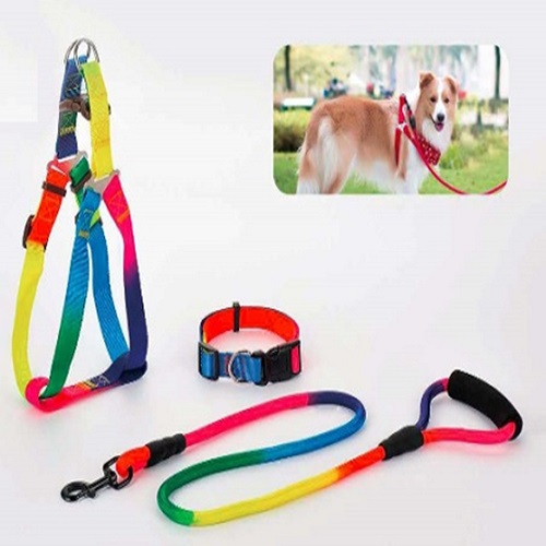 YDL 107 colourful Nylon Rope Leash,Harness&Collar