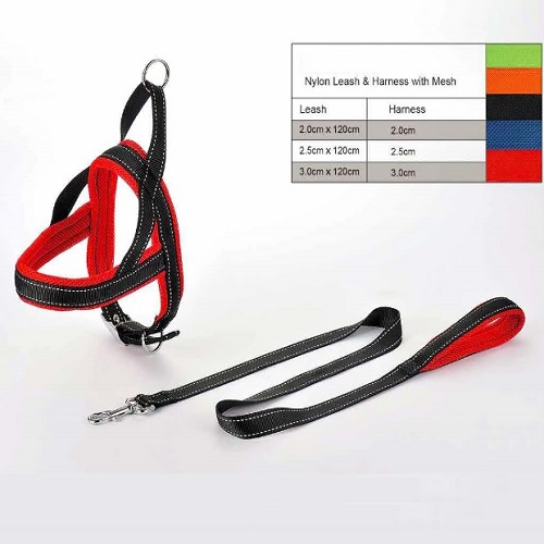 YDL 115 Nylon Leash & Hardness with Mesh 