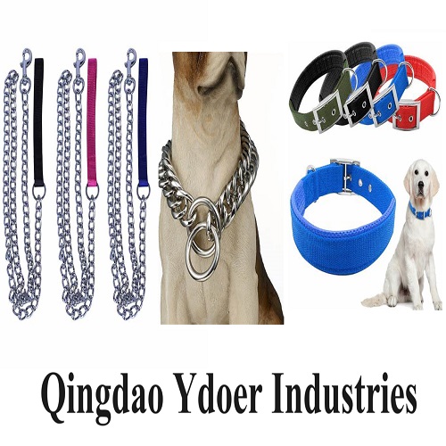 Dog Chain & Dog Products